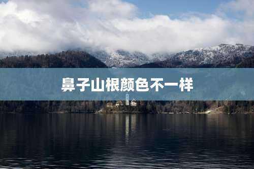 鼻子山根颜色不一样