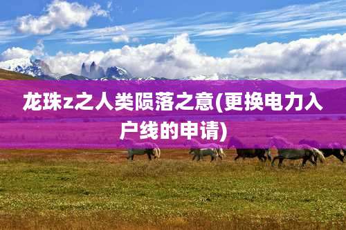 龙珠z之人类陨落之意(更换电力入户线的申请)