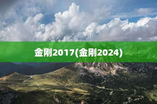 金刚2017(金刚2024)