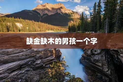 缺金缺木的男孩一个字