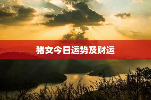 猪女今日运势及财运
