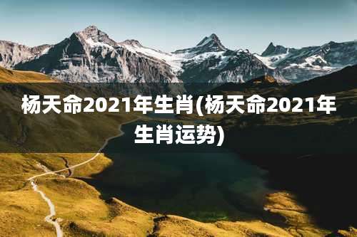 杨天命2021年生肖(杨天命2021年生肖运势)