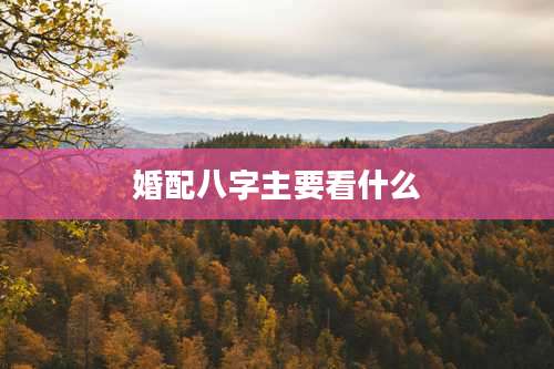 婚配八字主要看什么