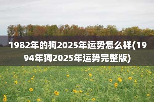 1982年的狗2025年运势怎么样(1994年狗2025年运势完整版)