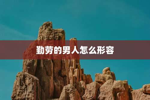 勤劳的男人怎么形容