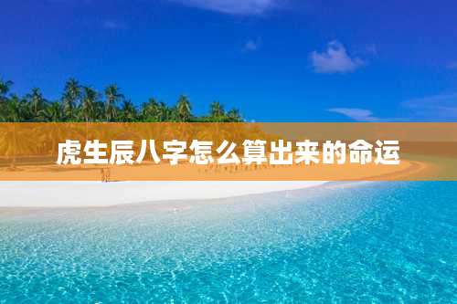 虎生辰八字怎么算出来的命运