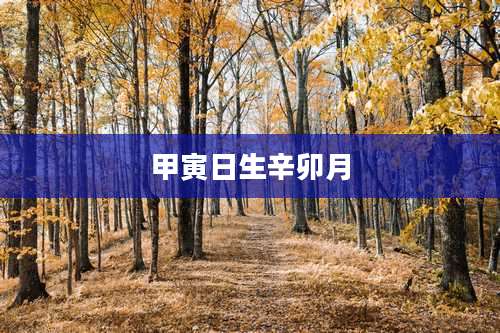 甲寅日生辛卯月