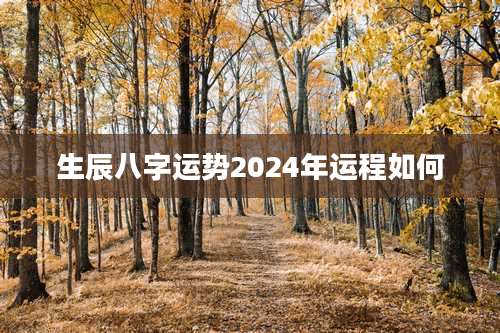 生辰八字运势2024年运程如何