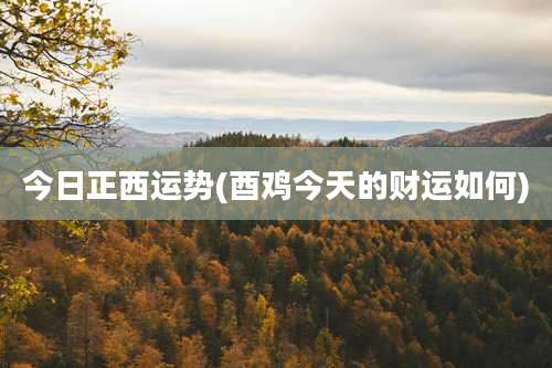今日正西运势(酉鸡今天的财运如何)