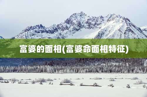 富婆的面相(富婆命面相特征)