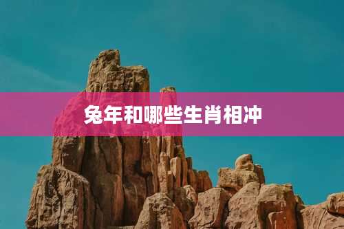 兔年和哪些生肖相冲