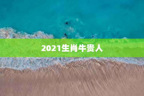 2021生肖牛贵人