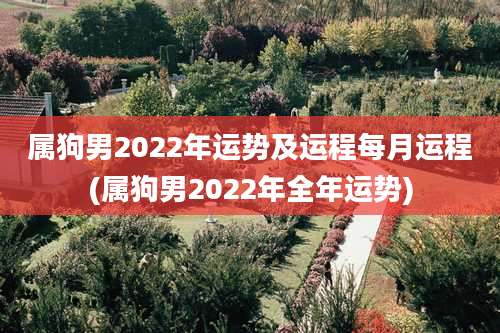 属狗男2022年运势及运程每月运程(属狗男2022年全年运势)