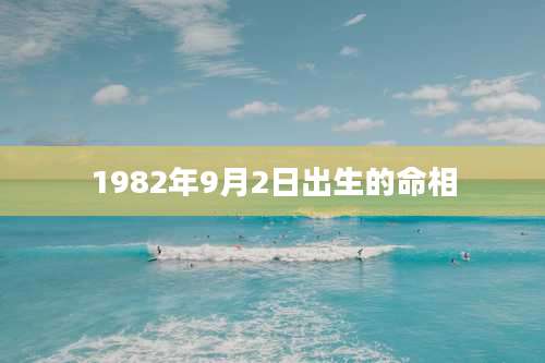 1982年9月2日出生的命相