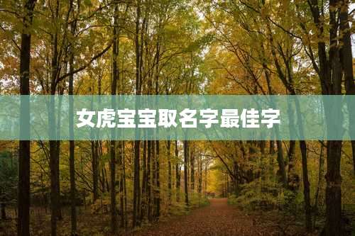 女虎宝宝取名字最佳字