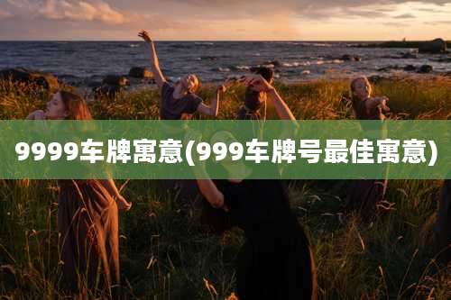 9999车牌寓意(999车牌号最佳寓意)