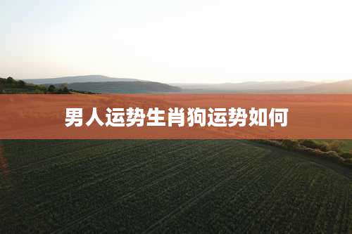 男人运势生肖狗运势如何