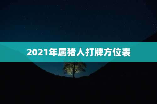 2021年属猪人打牌方位表