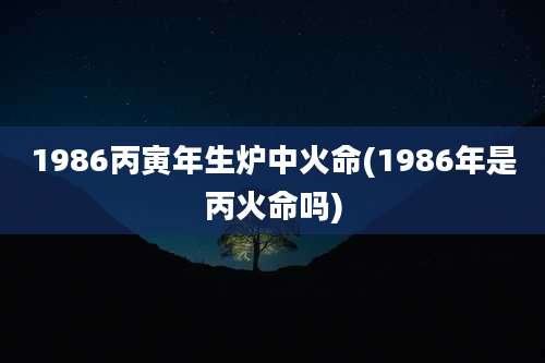 1986丙寅年生炉中火命(1986年是丙火命吗)