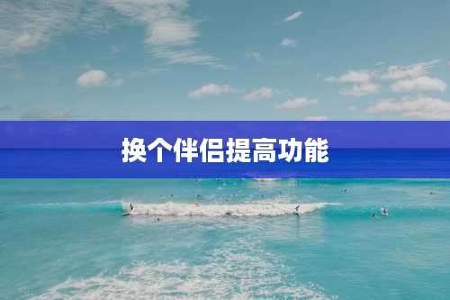换个伴侣提高功能