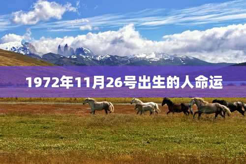1972年11月26号出生的人命运