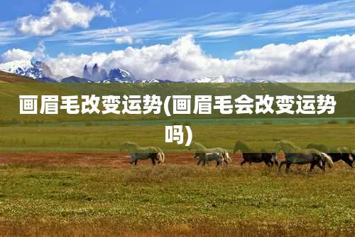 画眉毛改变运势(画眉毛会改变运势吗)