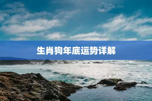 生肖狗年底运势详解