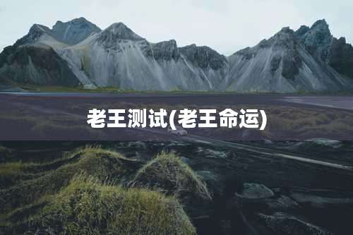 老王测试(老王命运)
