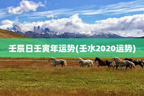 壬辰日壬寅年运势(壬水2020运势)