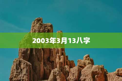 2003年3月13八字