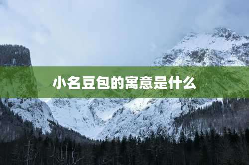 小名豆包的寓意是什么