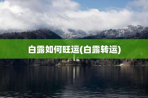 白露如何旺运(白露转运)