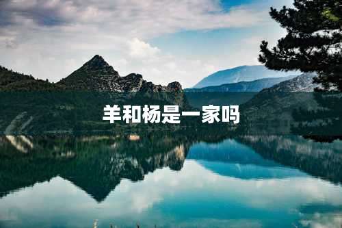 羊和杨是一家吗