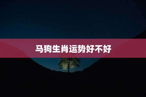马狗生肖运势好不好