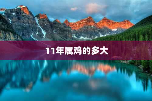 11年属鸡的多大