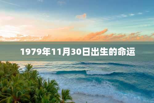1979年11月30日出生的命运