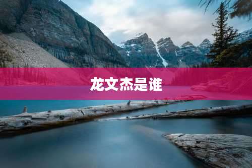 龙文杰是谁