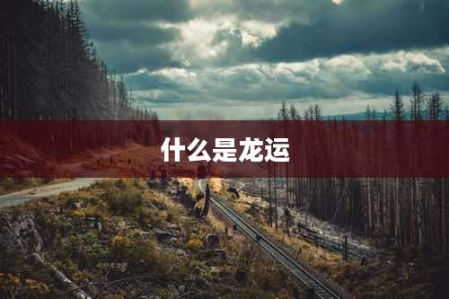 什么是龙运