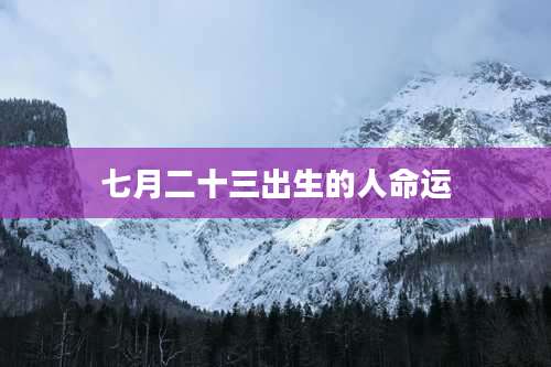 七月二十三出生的人命运