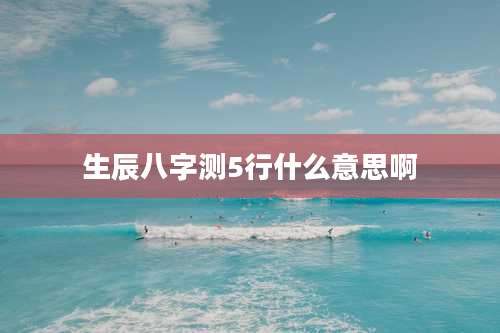 生辰八字测5行什么意思啊