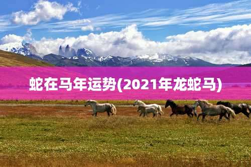 蛇在马年运势(2021年龙蛇马)