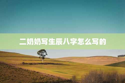 二奶奶写生辰八字怎么写的