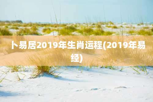 卜易居2019年生肖运程(2019年易经)
