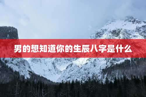 男的想知道你的生辰八字是什么