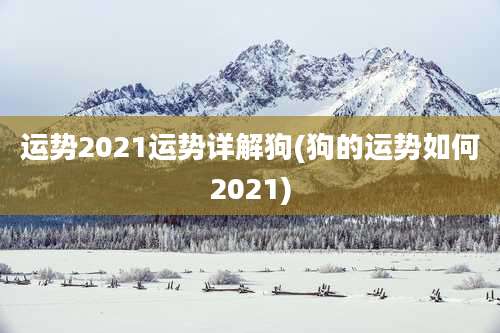 运势2021运势详解狗(狗的运势如何2021)