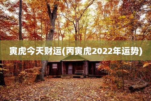 寅虎今天财运(丙寅虎2022年运势)