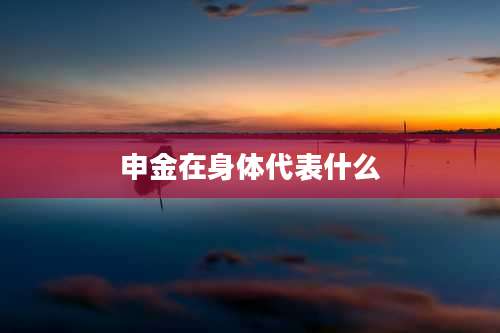 申金在身体代表什么