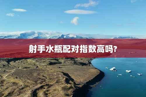 射手水瓶配对指数高吗?