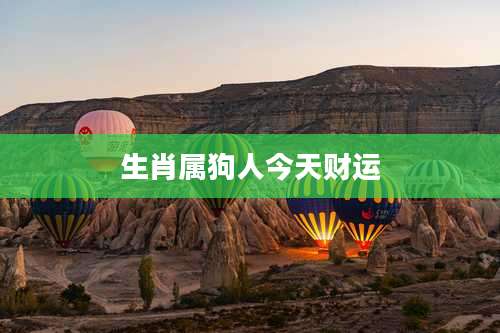 生肖属狗人今天财运