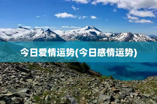 今日爱情运势(今日感情运势)